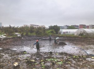 龙沙河道鱼塘清淤